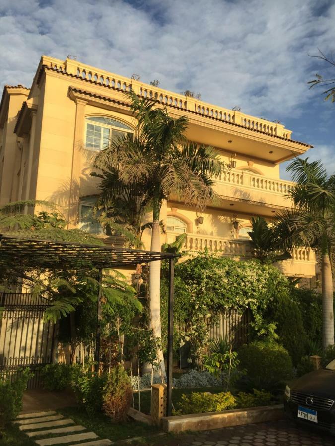 Sunny In New Cairo